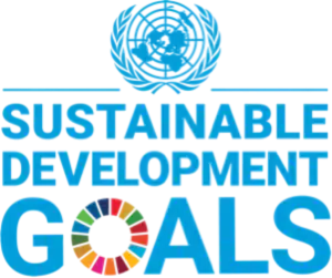 UN Sustainable Development Goals Logo